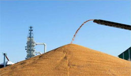 糧倉物位測(cè)量